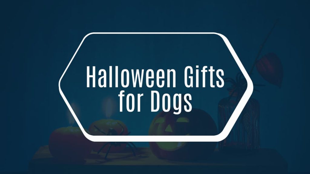 Halloween Gifts for Dogs