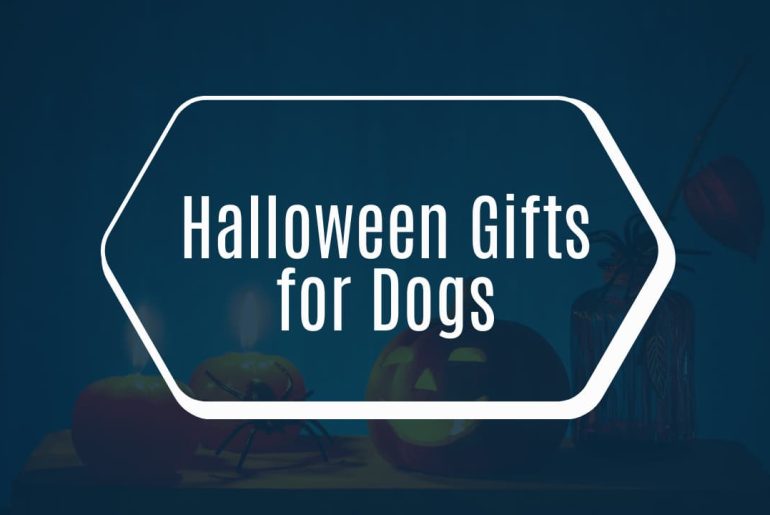Halloween Gifts for Dogs