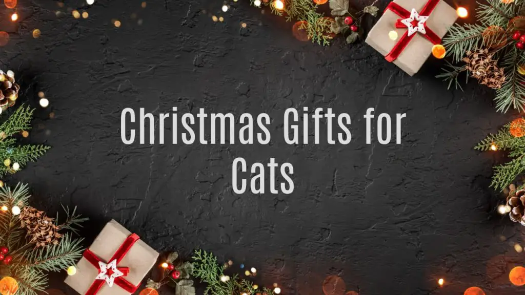 Christmas Gifts for Cats